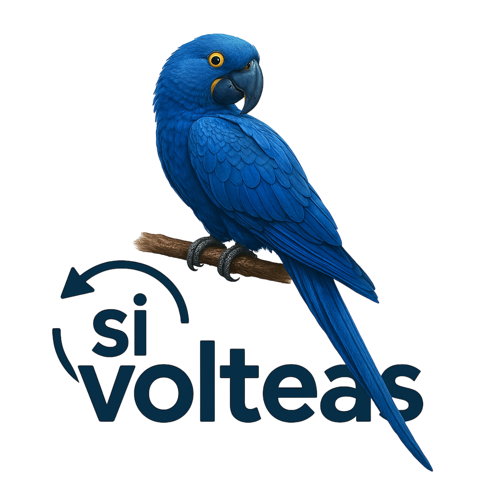 Si Volteas Logo